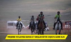 PERŞEMBE YAYLASI'NDA RAHVAN AT YARIŞLARI BÜYÜK COŞKUYA SAHNE OLDU