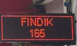 ORDU’DA FINDIK 165 LİRAYA GERİLEDİ!