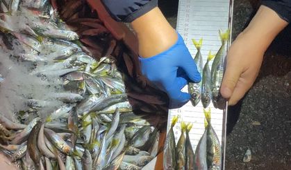 EKİPLER 150 KG İSTAVRİTE EL KOYDU