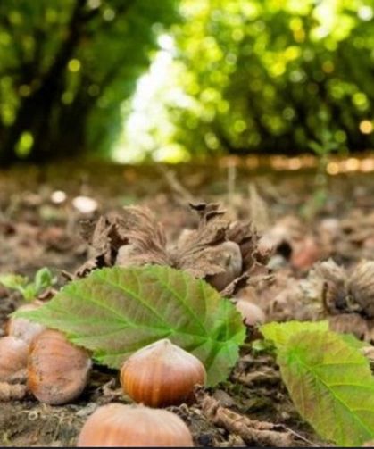ÇKS BAŞVURULARINDA SON GÜN UYARISI