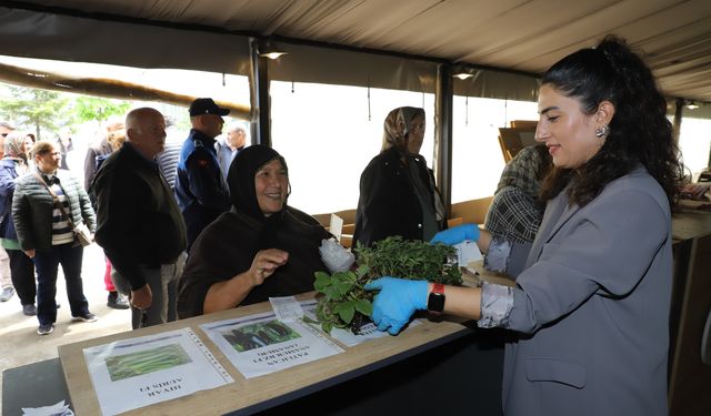 ÜRETİCİLERE 380 BİN ADET YAZLIK SEBZE FİDESİ DAĞITILDI