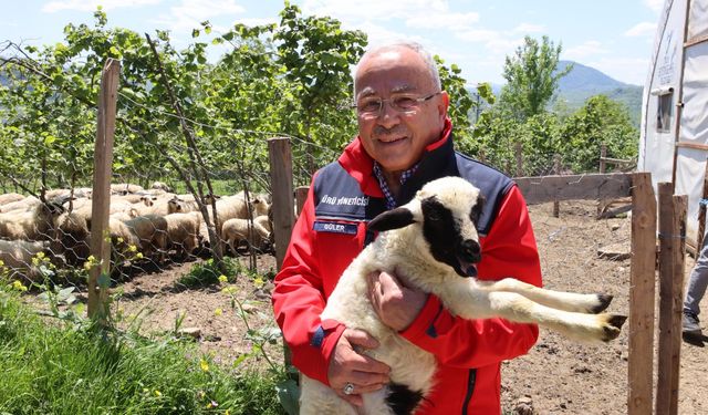 BAŞKAN GÜLER: “DAĞITIMINI YAPTIĞIMIZ HAYVANLARI KENDİMİZ YETİŞTİRİYORUZ”