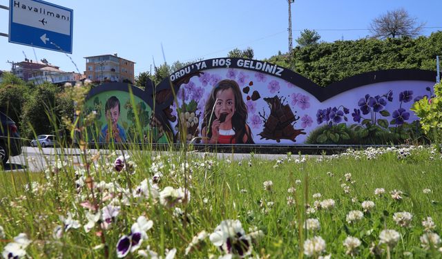 ORDU’NUN RENKLERİ DUVARLARA YANSIYOR