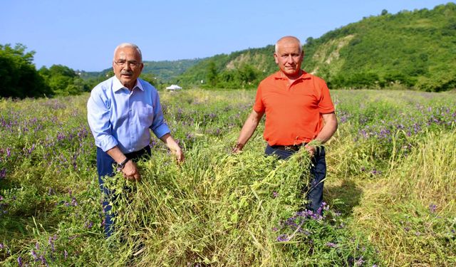 BÜYÜKŞEHİR BESİCİLERİN YÜZÜNÜ GÜLDÜRDÜ
