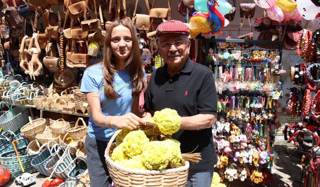 ÇAMBAŞI YAYLASI’NDA 22. FESTİVAL COŞKUSU