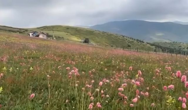 “SERİNLİĞİN VE HUZURUN ADRESİ ÇAMBAŞI İLE TURNALIK”
