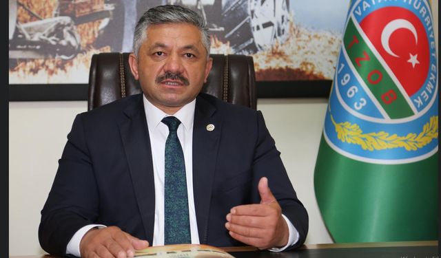 FINDIKTA ERKEN HASAT UYARISI: KALİTE VE KAZANÇ KAYBI YAŞANABİLİR