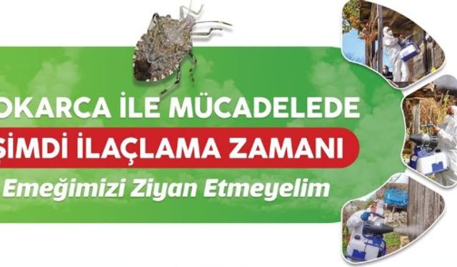 FATSA’DA FINDIK HASADI ÖNCESİ KOKARCA UYARISI