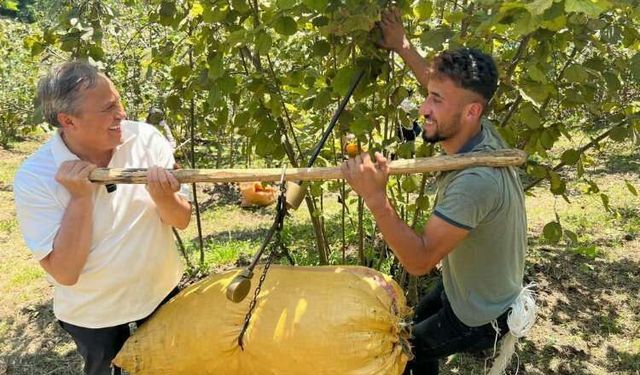 SEYİT TORUN’DAN FINDIK REKOLTESİ AÇIKLAMASINA TEPKİ