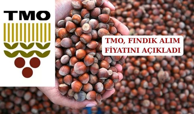 TMO 2025/2026 FINDIK ALIM FİYATLARINI AÇIKLADI