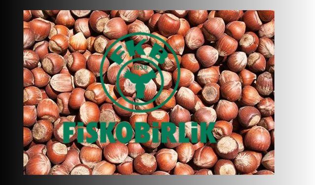 FINDIKTA REKABET KIZIŞTI: FİSKOBİRLİK SERBEST PİYASANIN ÜSTÜNDE FİYAT AÇIKLADI