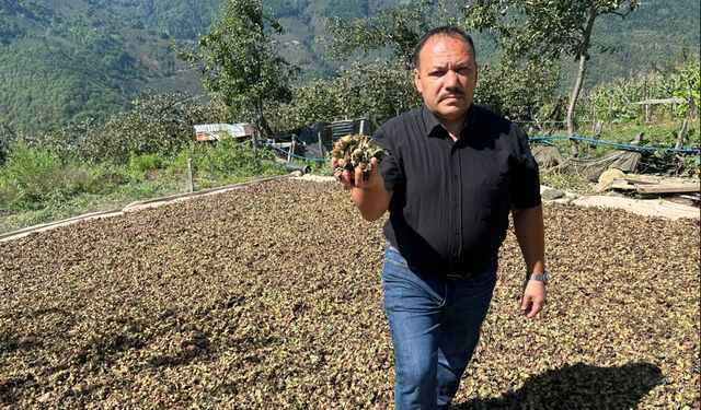DEMİREL ;“FINDIĞIN DEĞERİNİ BİZ BELİRLEMELİYİZ”