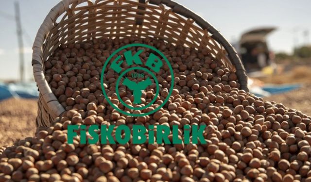 FİSKOBİRLİK’TEN 2025 SEZONU İÇİN YENİ FINDIK FİYATI DÜZENLEMESİ