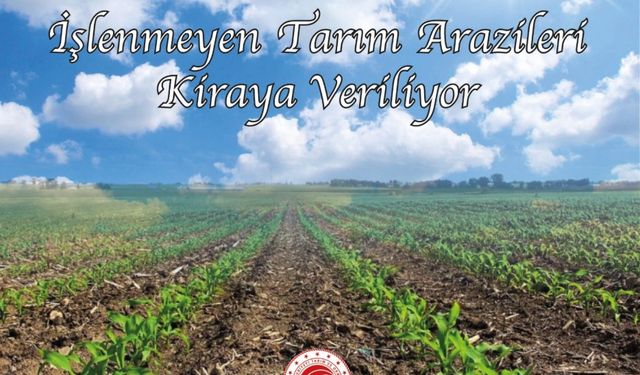 ORDU’DA İŞLENMEYEN TARIM ARAZİLERİ KİRAYA VERİLECEK