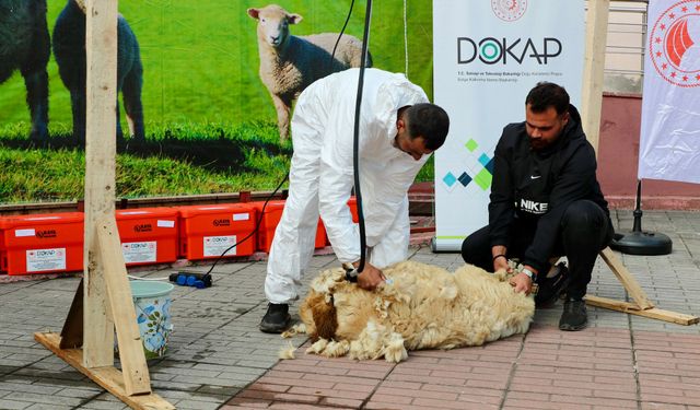 KOYUN YETİŞTİRİCİLERİNE ŞAFTLI KIRKIM MAKİNESİ DAĞITILDI