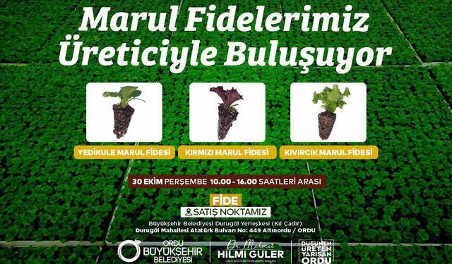 ORDU’DA MARUL FİDESİ DAĞITIMIYLA ÜRETİCİYE DESTEK