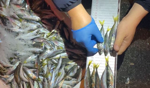 EKİPLER 150 KG İSTAVRİTE EL KOYDU