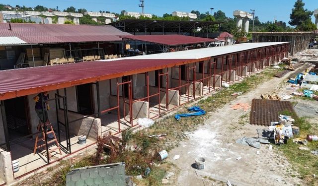 ORDU’DA SAHİPSİZ SOKAK HAYVANLARI İÇİN BÜYÜK ADIM