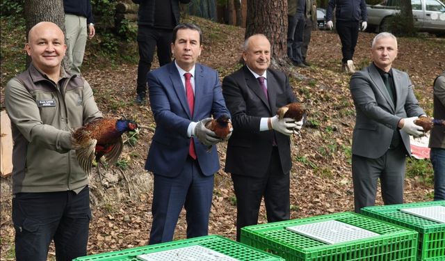 KOKARCANIN HESABINI SÜLÜNLER SORACAK