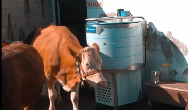 SÜT ÜRETİCİSİNE DESTEK SÜRÜYOR