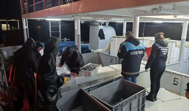 HAMSİ AVCILIĞI DENETİMLERİ DEVAM EDİYOR