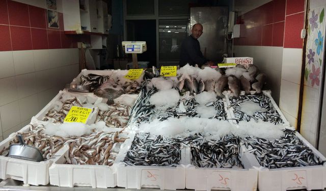 BALIKTA GÜNCEL FİYATLAR