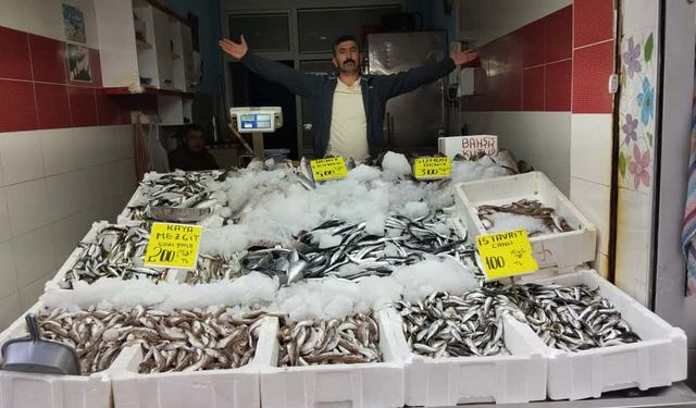 ORDU BALIK TEZGAHLARINDA GÜNCEL FİYATLAR