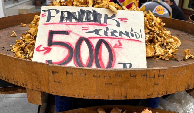 ORDU’DA TAVUK KİRMİTİ 500 TL’YE ULAŞTI