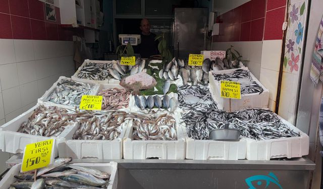 ORDU’DA BALIK FİYATLARI