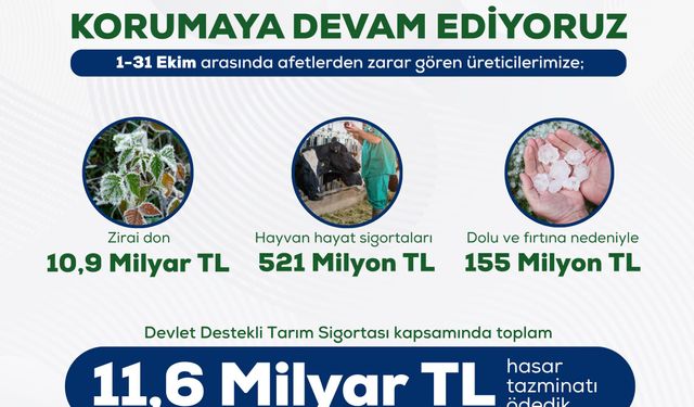 ÜRETİCİYE 11,6 MİLYAR TL TAZMİNAT DESTEĞİ