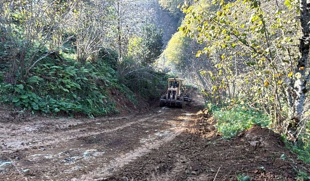 YENİMAHALLE’DE YOL ÇALIŞMALARINA HIZ VERDİ