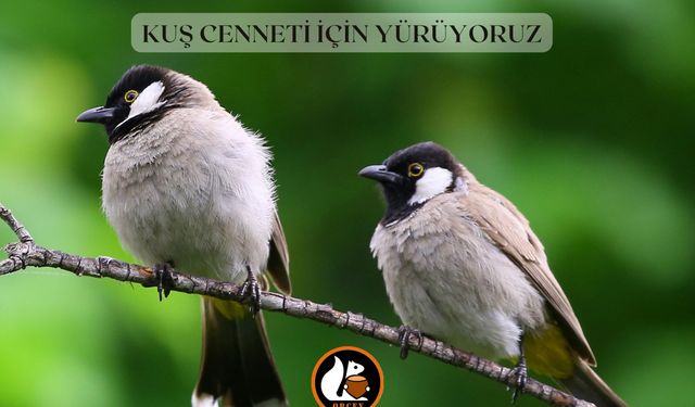 ORDU’DA BETONLAŞMAYA KARŞI YÜRÜYÜŞ ÇAĞRISI