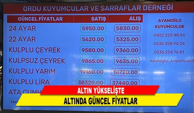 ALTIN YÜKSELİŞTE