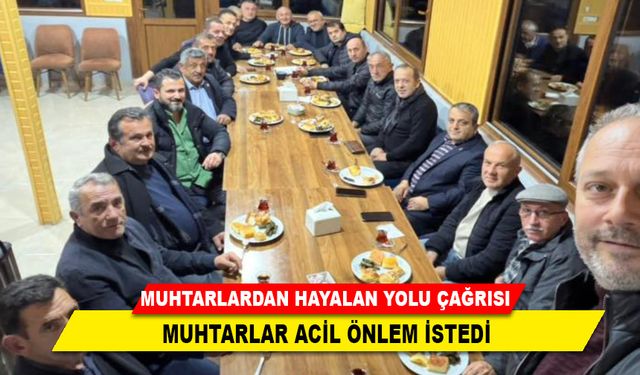 MUHTARLAR ACİL ÖNLEM İSTEDİ
