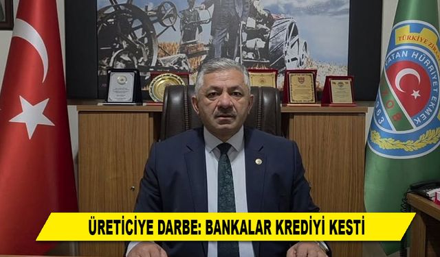 ÜRETİCİYE DARBE: BANKALAR KREDİYİ KESTİ