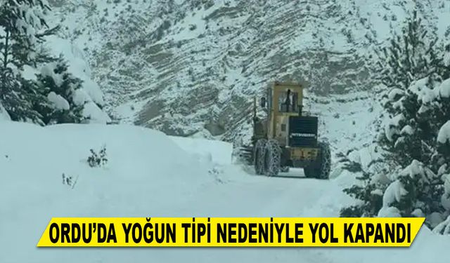 ORDU’DA YOĞUN TİPİ NEDENİYLE YOL KAPANDI