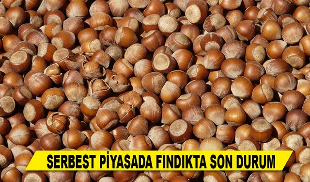 SERBEST PİYASADA FINDIKTA SON DURUM
