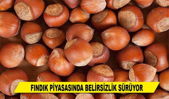 FINDIK PİYASASINDA BELİRSİZLİK SÜRÜYOR