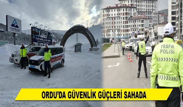 ORDU'DA GÜVENLİK GÜÇLERİ SAHADA