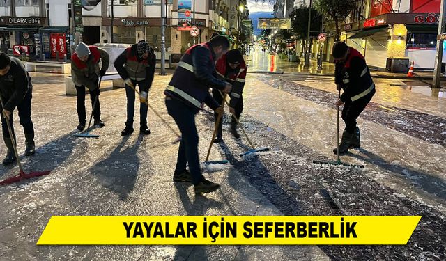 YAYALAR İÇİN SEFERBERLİK