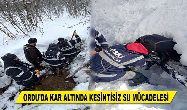 ORDU’DA KAR ALTINDA KESİNTİSİZ SU MÜCADELESİ