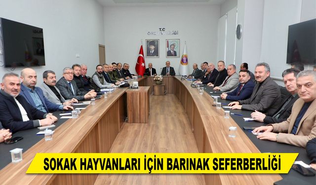 SOKAK HAYVANLARI İÇİN BARINAK SEFERBERLİĞİ