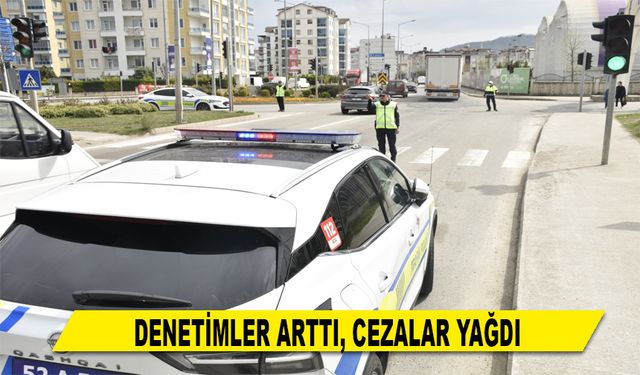 DENETİMLER ARTTI, CEZALAR YAĞDI