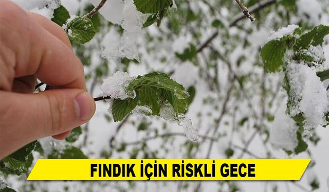 FINDIK İÇİN RİSKLİ GECE