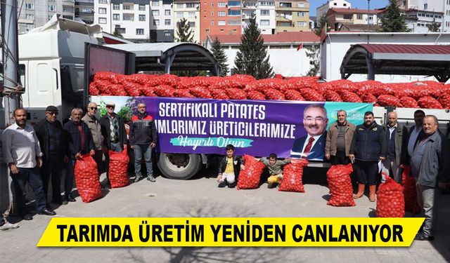 TARIMDA ÜRETİM YENİDEN CANLANIYOR