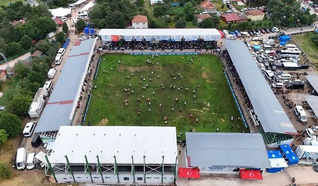Aybastı Yağlı Güreş Festivali Kaldığı Yerden Devam Ediyor