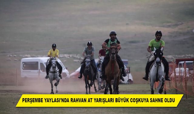 PERŞEMBE YAYLASI'NDA RAHVAN AT YARIŞLARI BÜYÜK COŞKUYA SAHNE OLDU