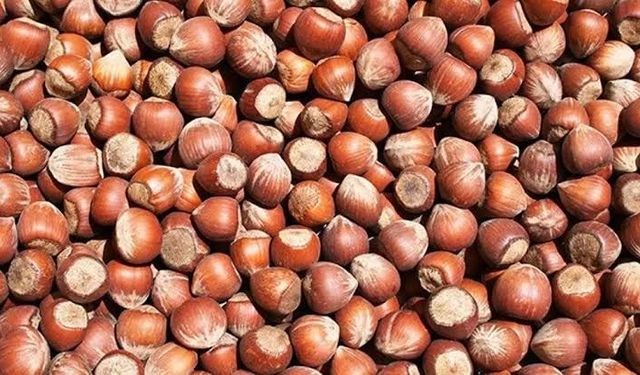 FERRERO’NUN FINDIK ALIMI PİYASAYI HAREKETLENDİREBİLİR!