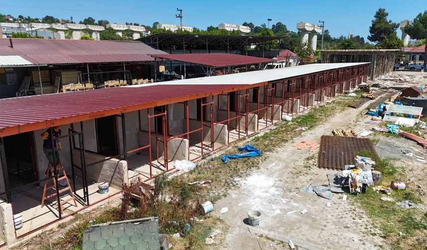 ORDU BÜYÜKŞEHİR’DEN SOKAK HAYVANLARINA MODERN YAŞAM ALANI