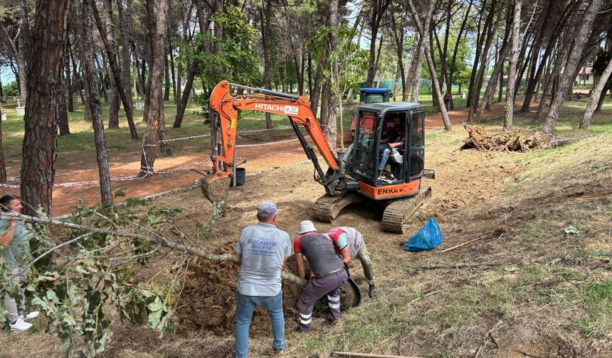 ÜNYE ÇAMLIK’TA KURUYAN AĞAÇLAR YENİLERİYLE DEĞİŞTİRİLİYOR